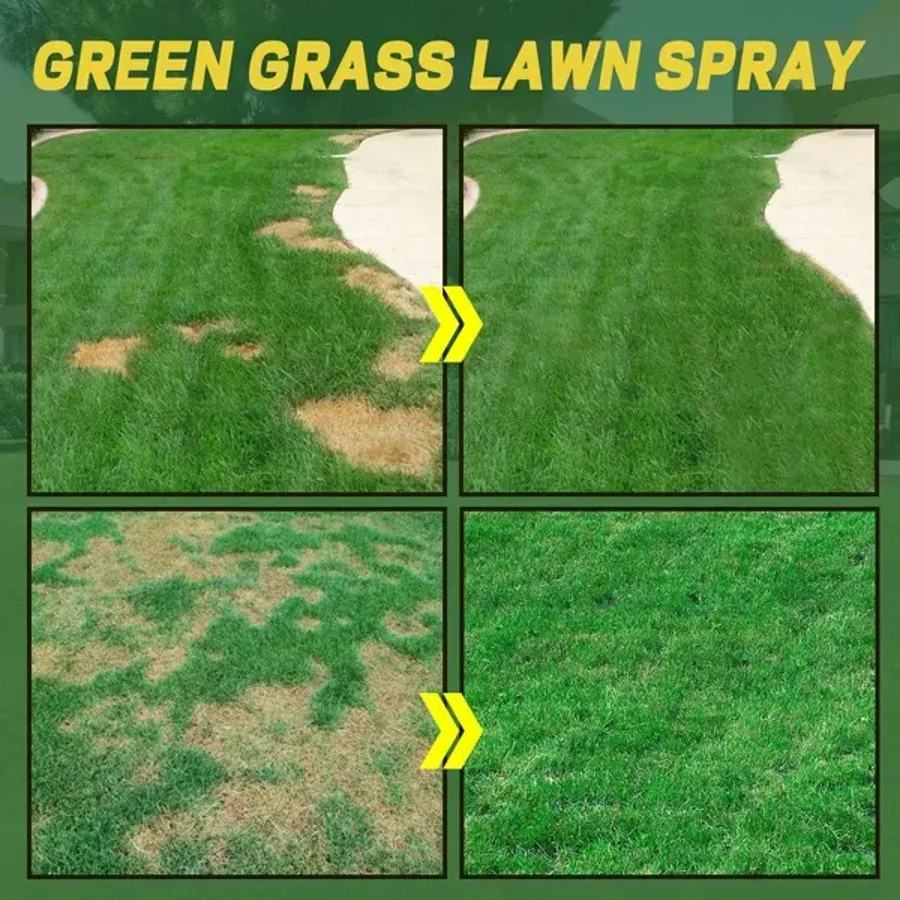 Green Grass Lawn Spray