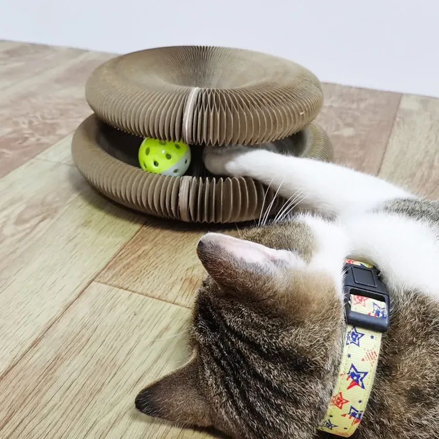 Magic Organ Cat Scratching Board