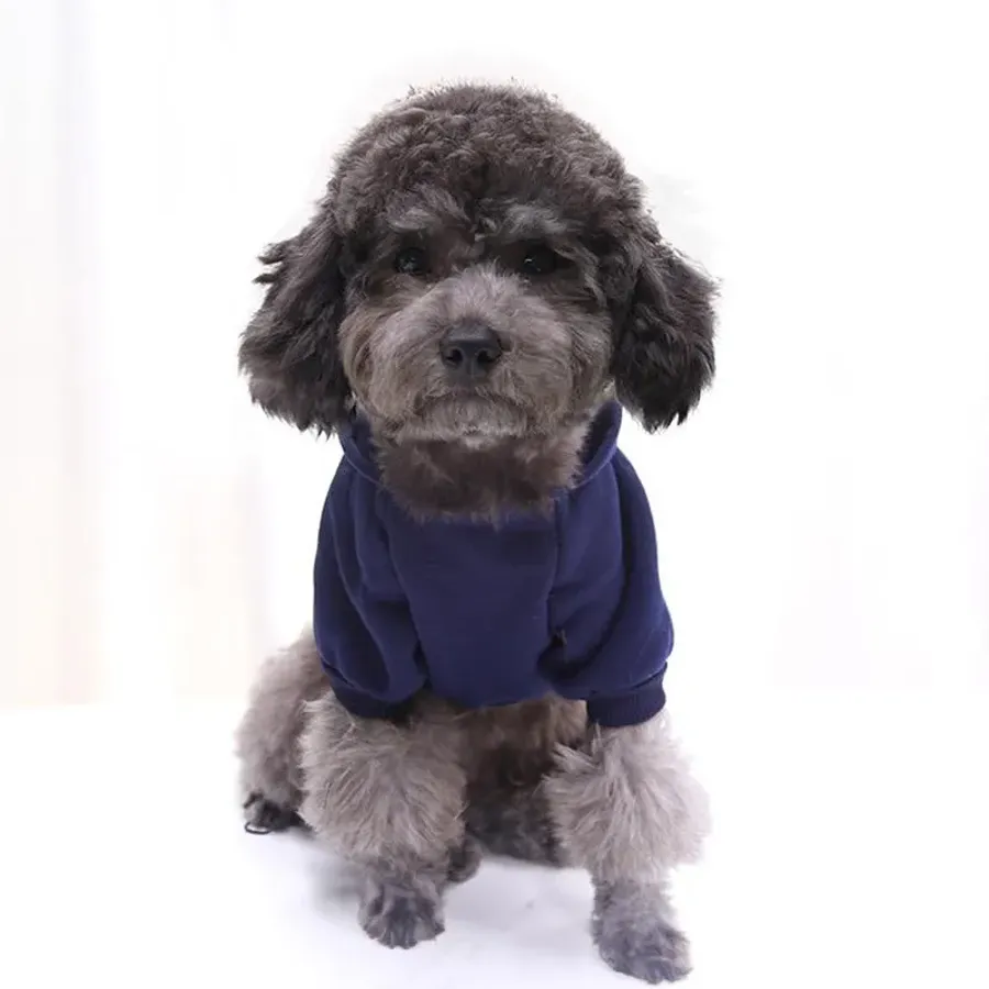 Winter Dog Hoodie With Pockets