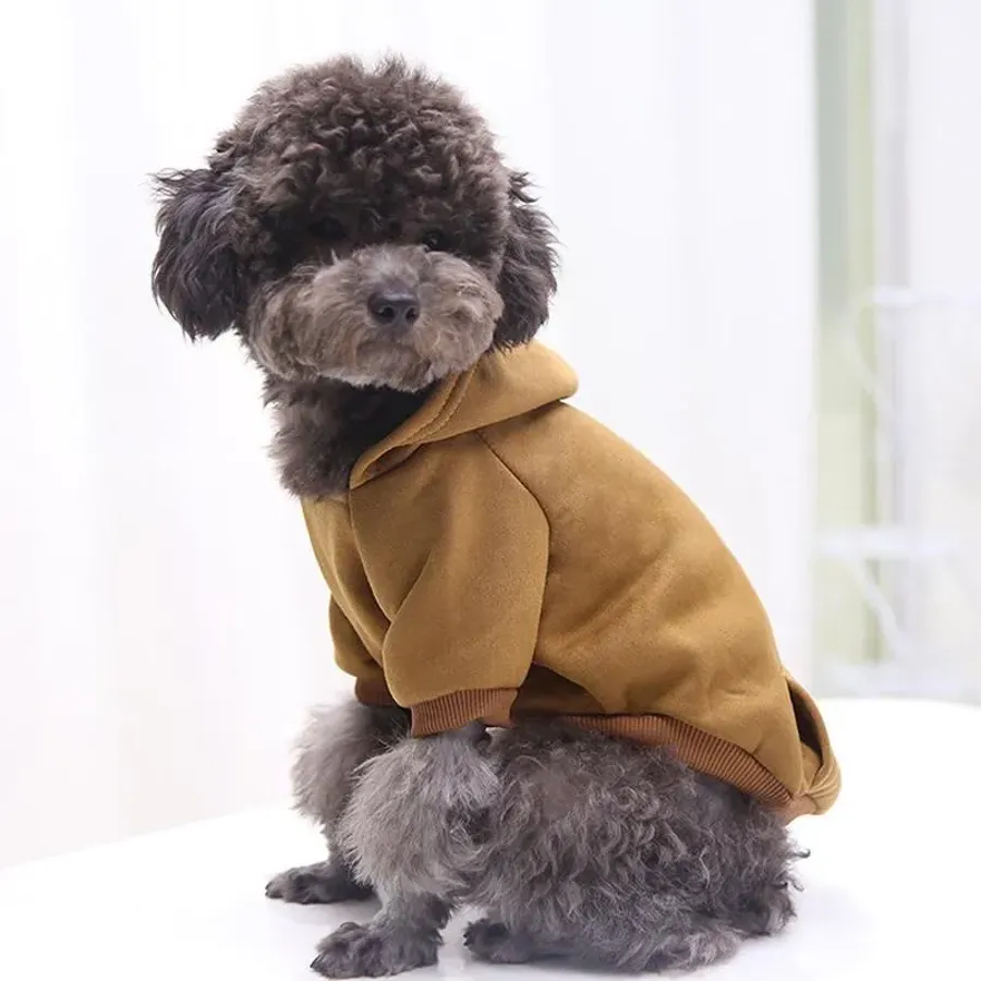 Winter Dog Hoodie With Pockets