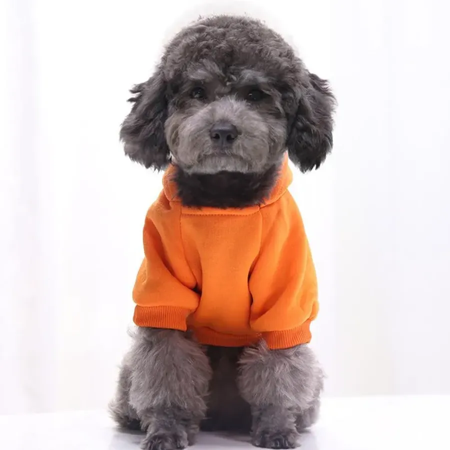 Winter Dog Hoodie With Pockets