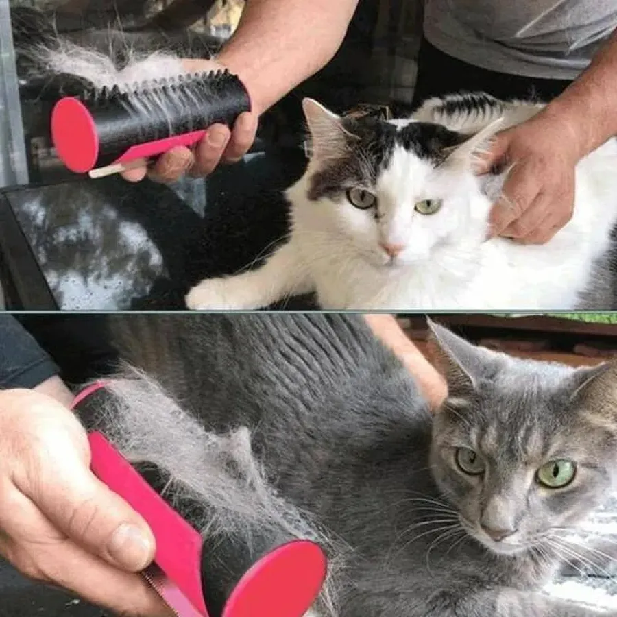 Multifuncional Pet Hair Removing Grooming Brush