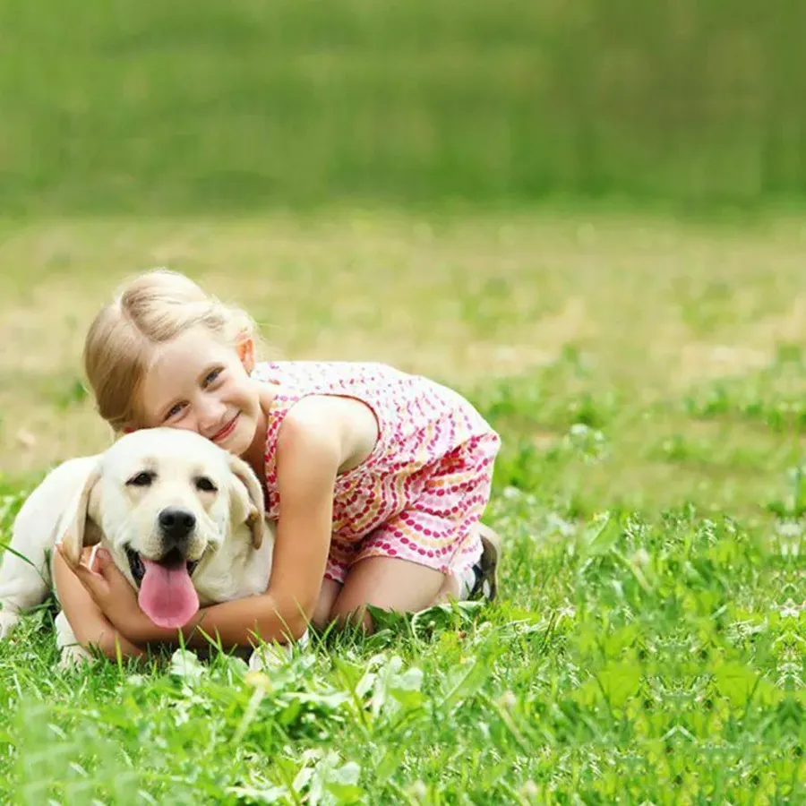 Pet Ear Powder